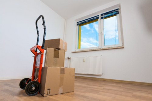 Service issue assessment during a removals complaint process